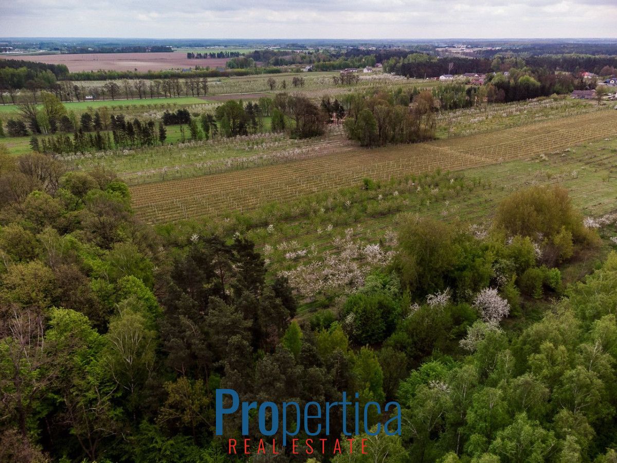 Działka budowlana Kocerany, ul. Nowy Trakt. Zdjęcie 11