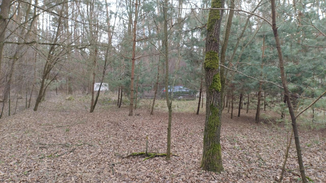 Działka budowlana Zofiówka, ul. Cmentarna. Zdjęcie 5