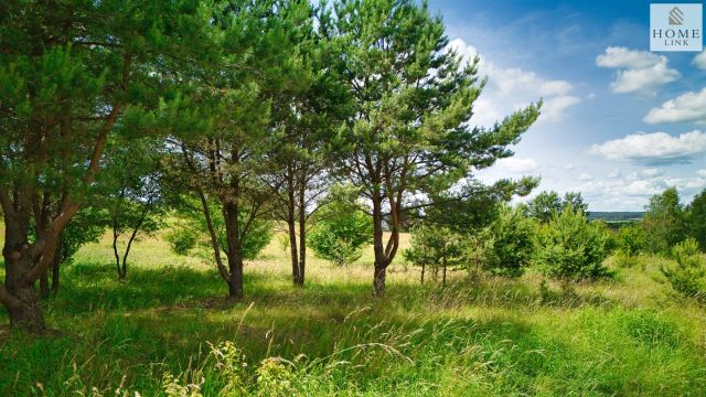 Działka budowlana Giedajty, ul. Sokola. Zdjęcie 20