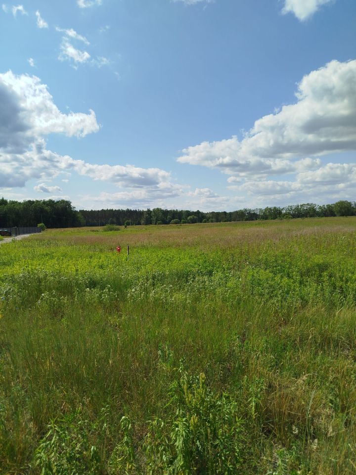 Działka budowlana Kąty. Zdjęcie 6