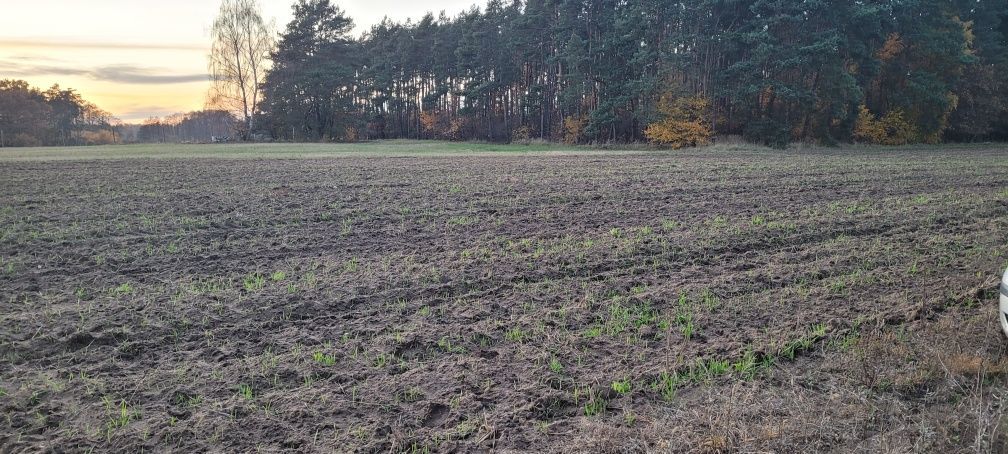 Działka budowlana Władysławowo. Zdjęcie 4