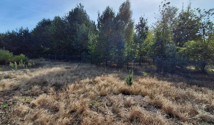 Działka rekreacyjna Zuzinów