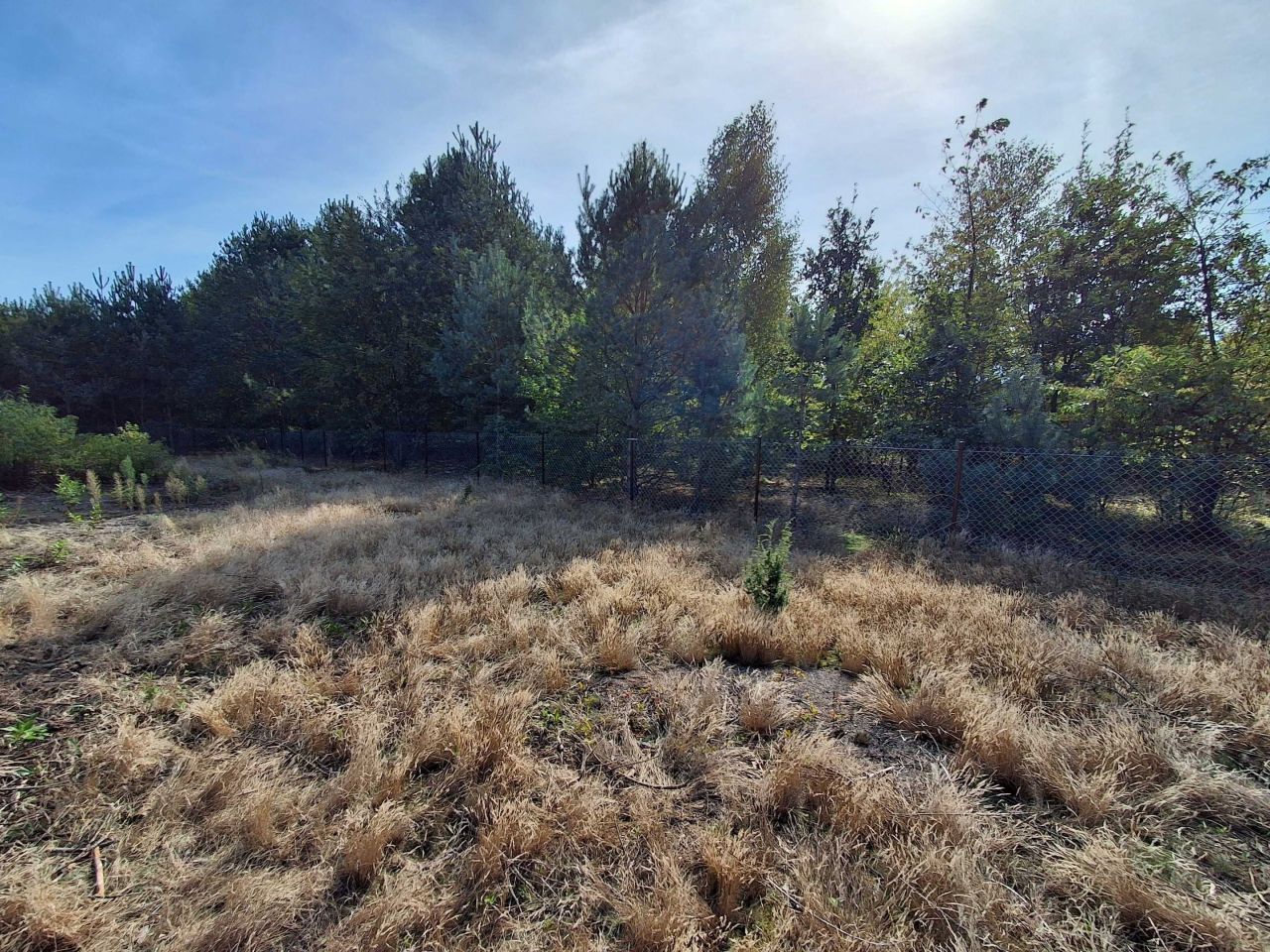 Działka rekreacyjna Zuzinów. Zdjęcie 1