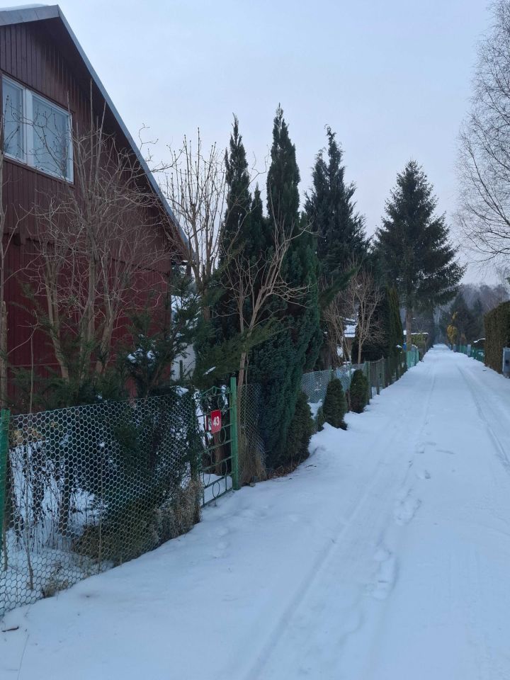 Działka rod Przypki. Zdjęcie 2