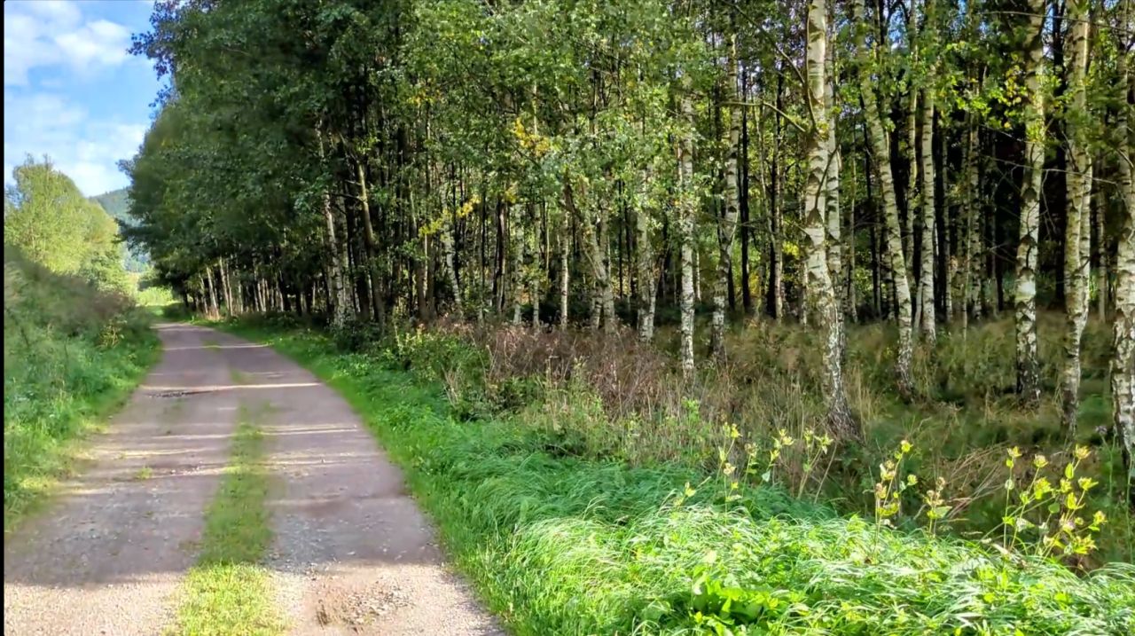 Działka rolna Błażkowa, Błażkowa. Zdjęcie 3