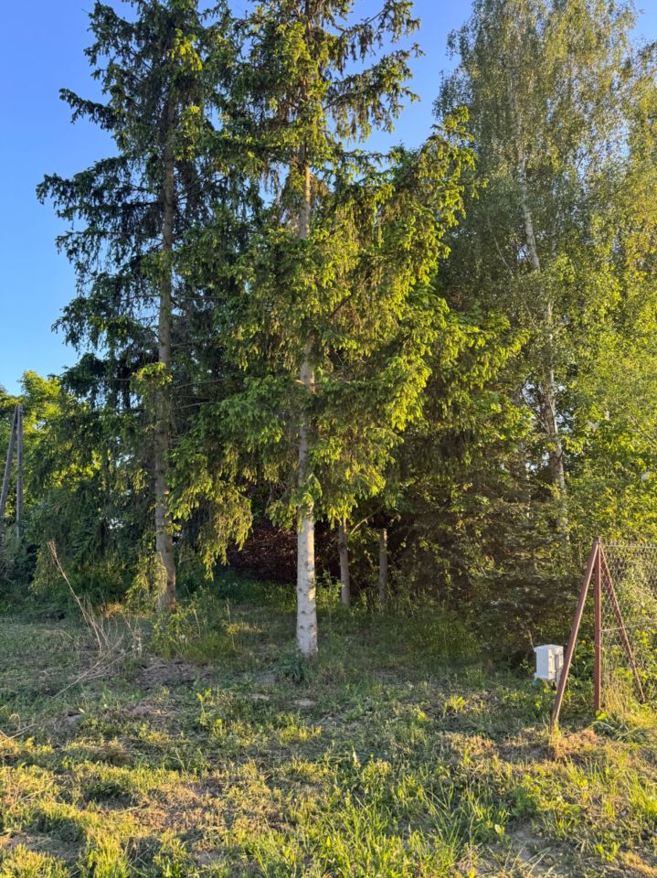 Działka budowlana Piątki. Zdjęcie 5