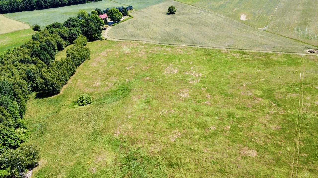 Działka rolno-budowlana Teolog. Zdjęcie 10