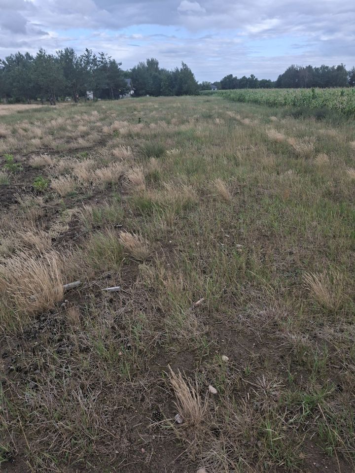 Działka budowlana Dachowa. Zdjęcie 4