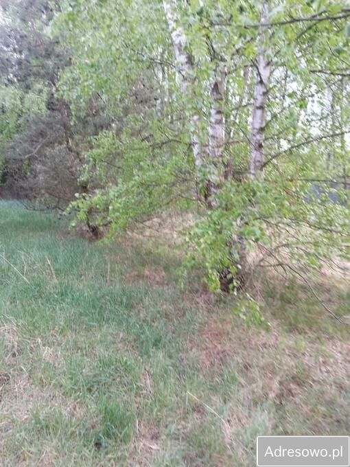 Działka budowlana Kamion. Zdjęcie 3