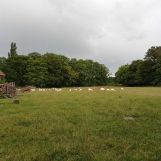 Działka Wilków Wielki. Zdjęcie 2