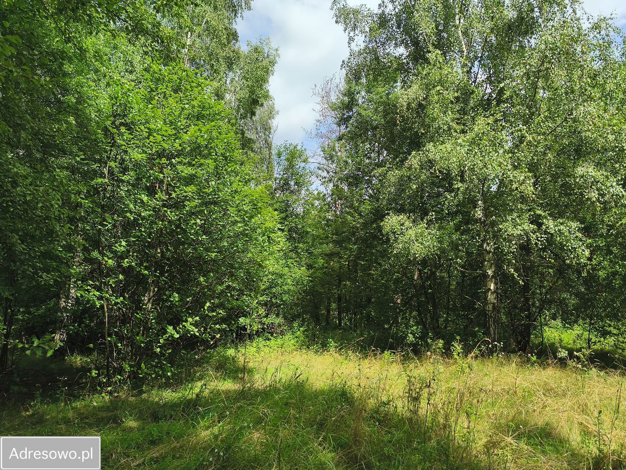 dom wolnostojący Słubica Dobra. Zdjęcie 15