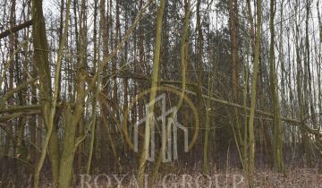 Działka leśna Jawidz