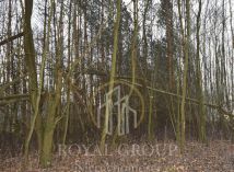 Działka leśna Jawidz