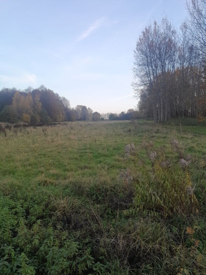 Działka rolna Grodnica. Zdjęcie 6