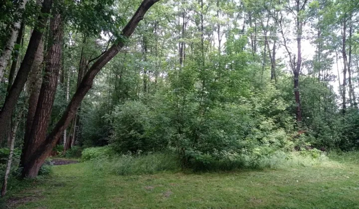 Działka budowlana Ropczyce Witkowice, ul. Rolnicza