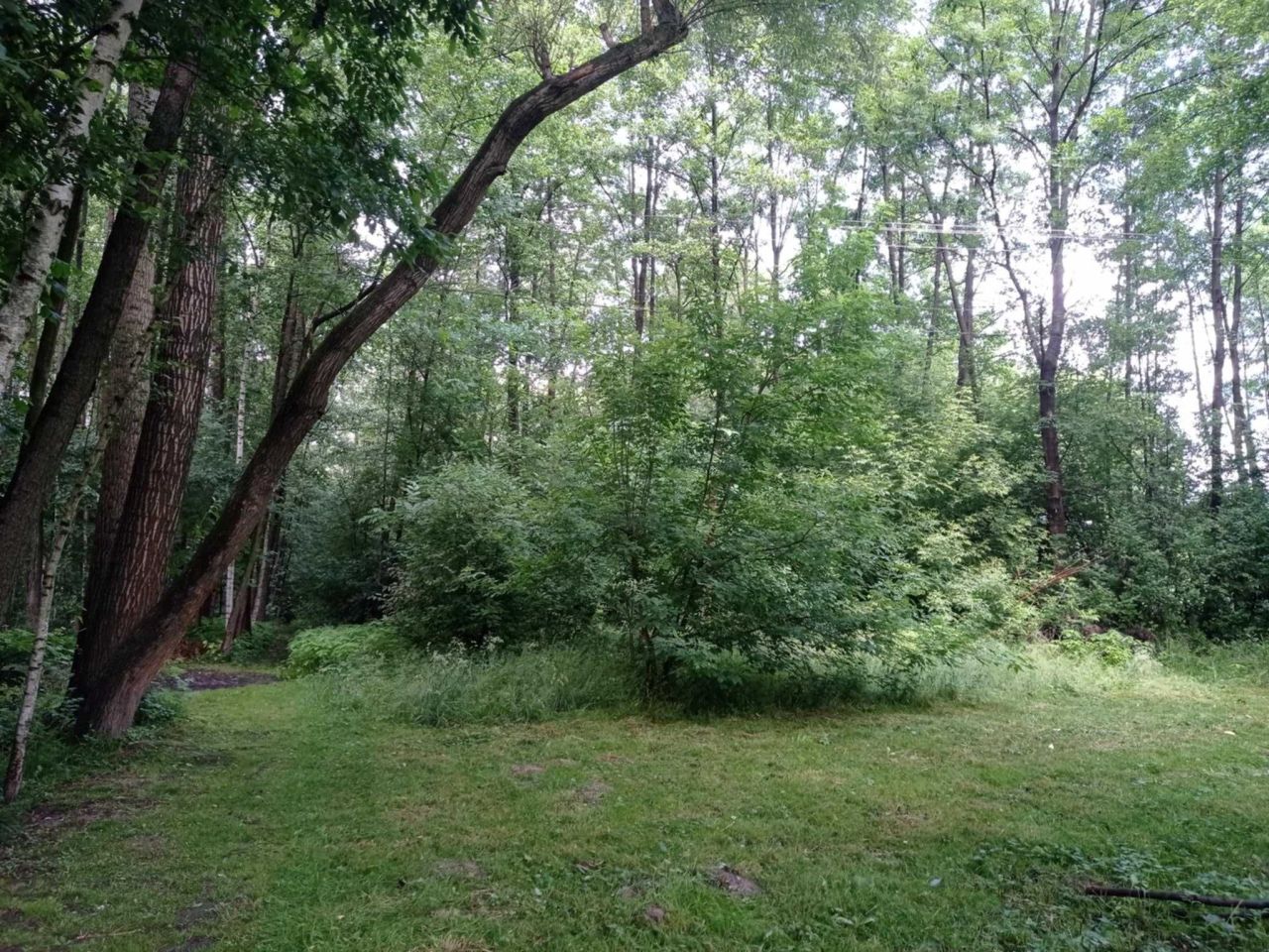 Działka budowlana Ropczyce Witkowice, ul. Rolnicza