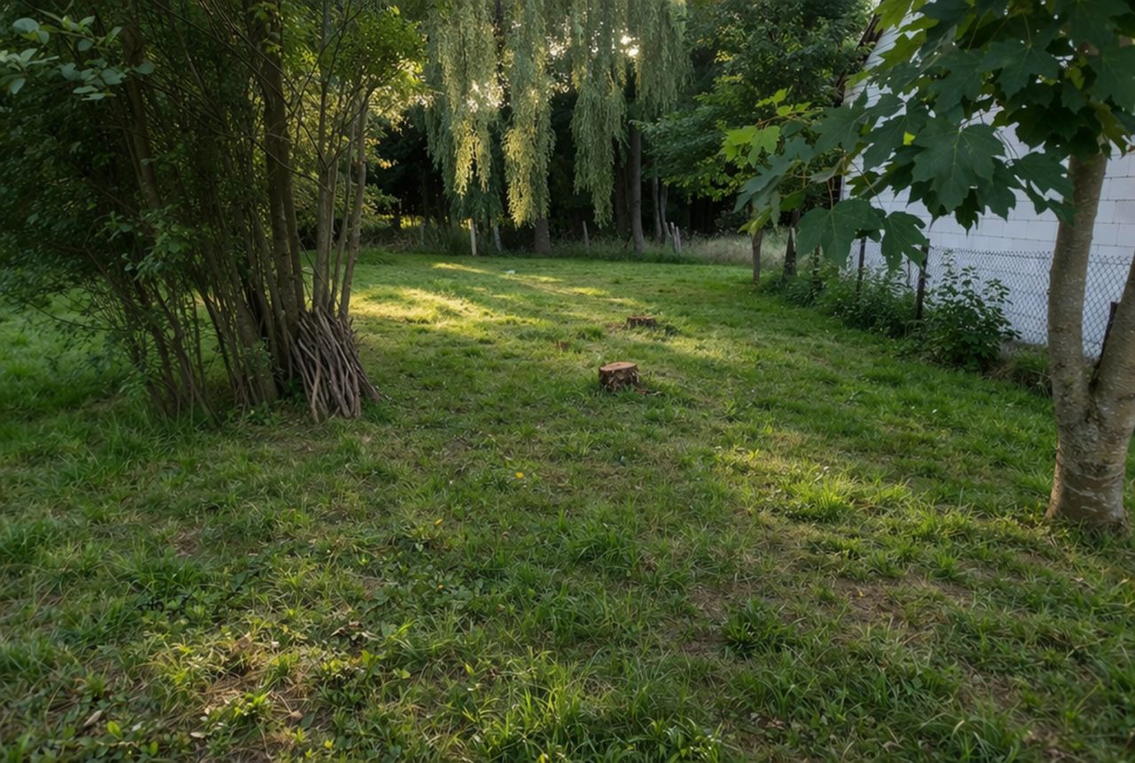 Działka budowlana Opalino, Lipowa. Zdjęcie 1