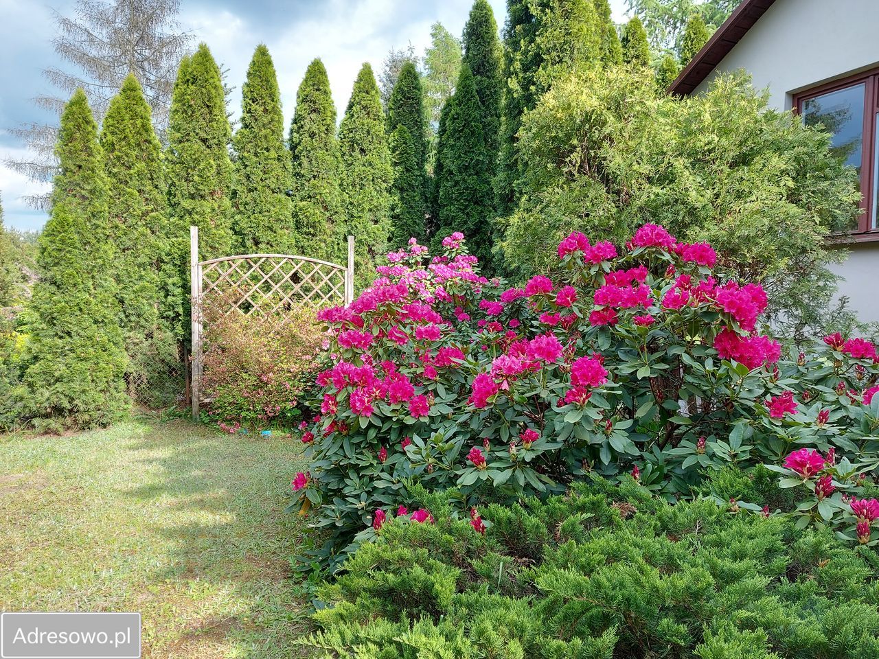 Działka rod Krępa, ul. Długa. Zdjęcie 7