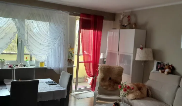 Mieszkanie 3-pokojowe Bełchatów, os. Budowlanych