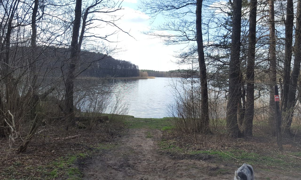 Działka rolna Silna. Zdjęcie 8