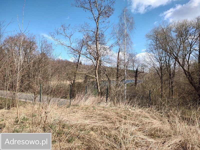 gospodarstwo, 7 pokoi Szczutkowo. Zdjęcie 6