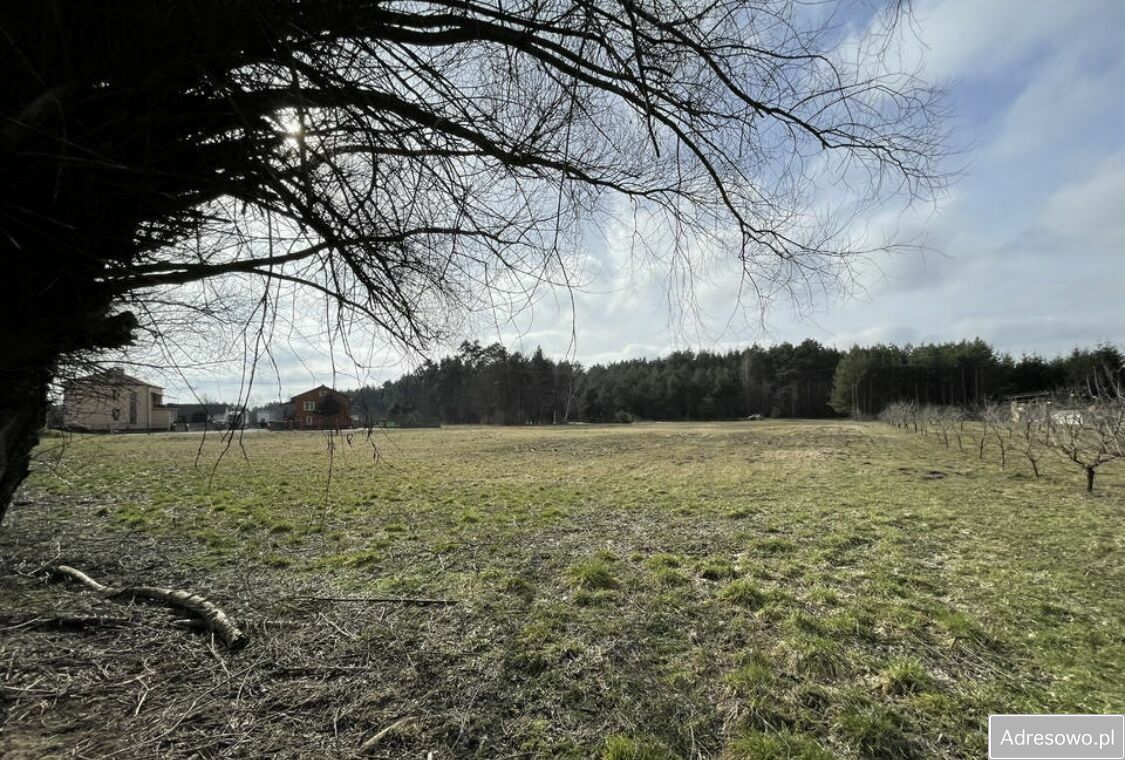 Działka rolno-budowlana Krzcin. Zdjęcie 4