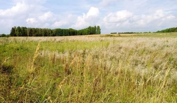 Działka siedliskowa Sielsko