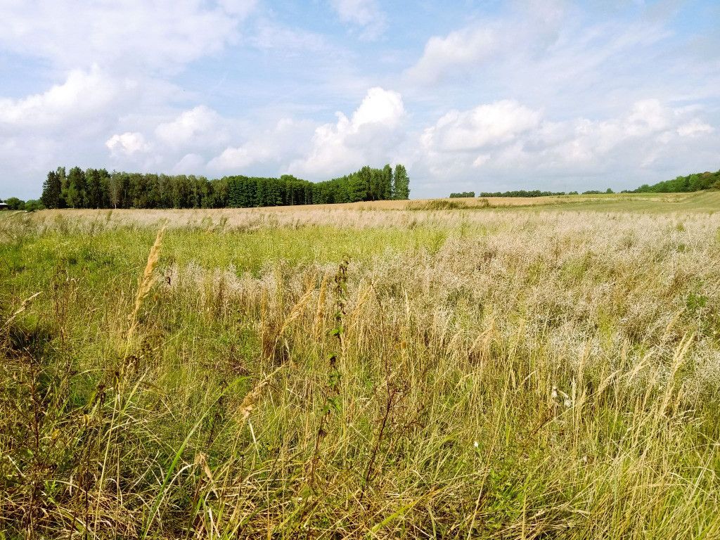 Działka siedliskowa Sielsko
