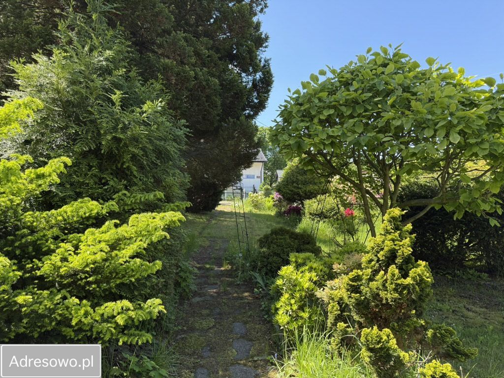 Działka budowlana Jastrzębie-Zdrój, ul. Dębowa. Zdjęcie 10