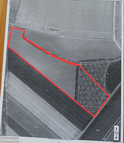 Działka rolna Domasław. Zdjęcie 1