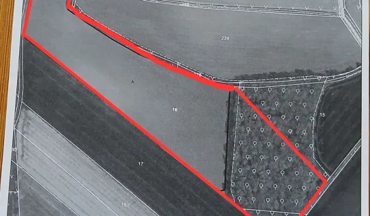 Działka rolna Domasław