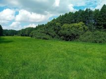 Działka rolna Strzygi. Zdjęcie 4