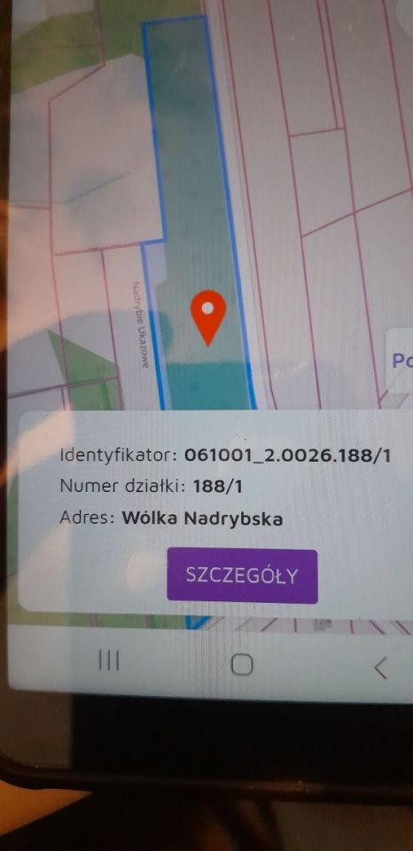 Działka leśna Wólka Nadrybska. Zdjęcie 2