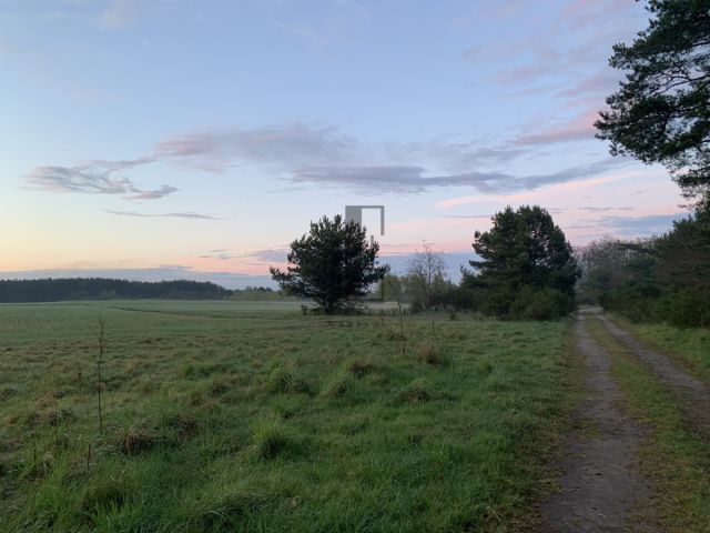 Działka inwestycyjna Sarbsk, ul. Przybrzeże. Zdjęcie 5