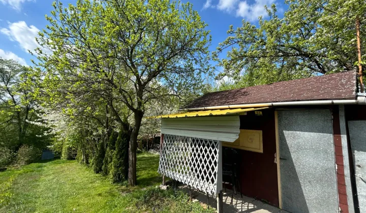 Działka rod Gorlice, ul. Błażeja i Stanisława Wrońskich