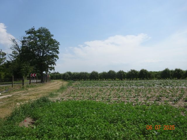 Działka rolna Odcinki Dylewskie. Zdjęcie 1