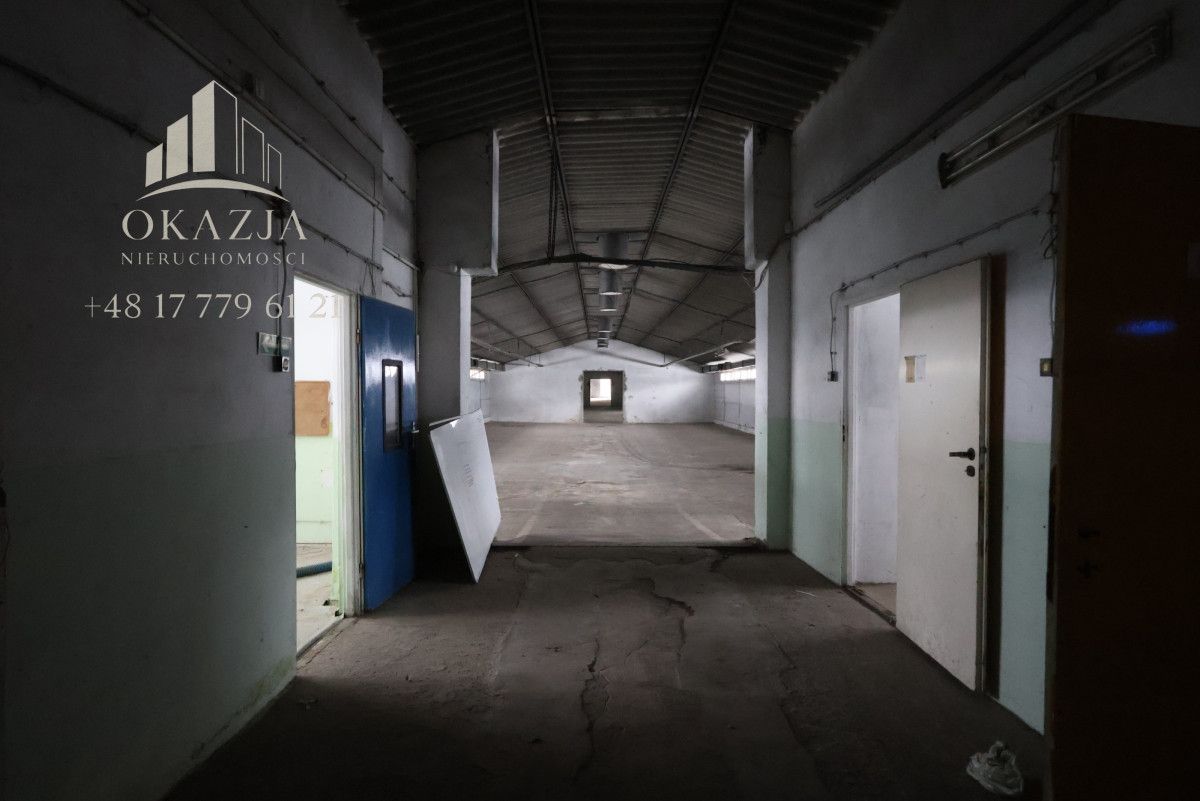 Lokal Wysoka Głogowska. Zdjęcie 12