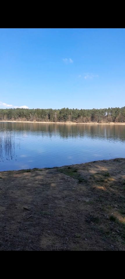 Działka rekreacyjna Zbiczno, Jeziorna. Zdjęcie 2