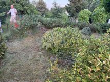 Działka rod Zduńska Wola. Zdjęcie 1