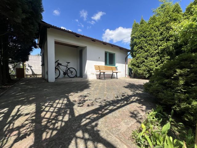 Działka rod Ostrów Wielkopolski, ul. Grunwaldzka. Zdjęcie 1