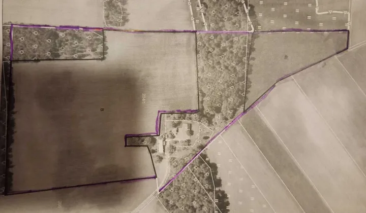 Działka rolna Żachy-Pawły