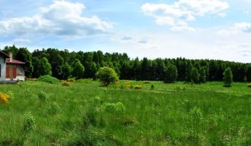 dom wolnostojący, 7 pokoi Tworzyjanki