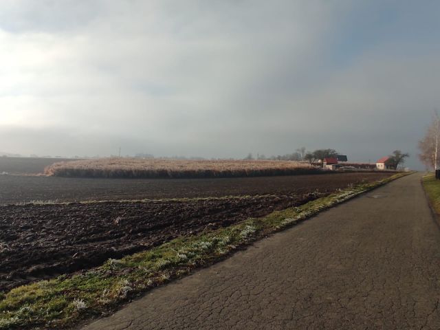 Działka inwestycyjna Marszowice, Widokowa. Zdjęcie 1