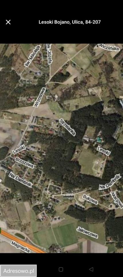 Działka leśna Bojano, ul. Lesoki. Zdjęcie 3