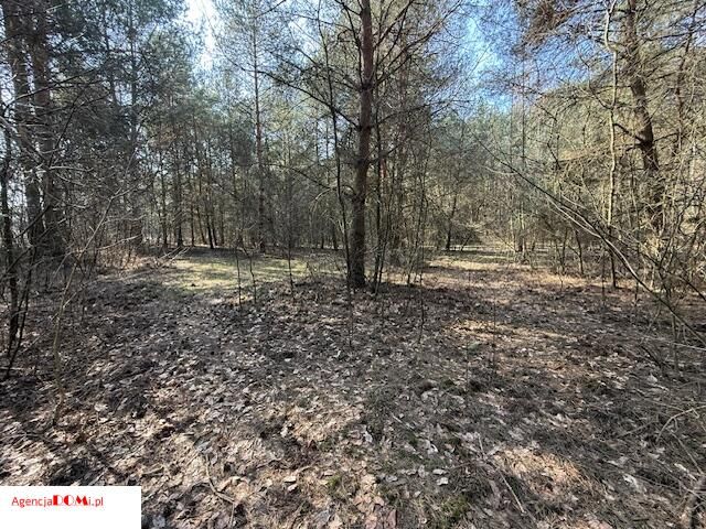 Działka budowlana Siestrzeń. Zdjęcie 8