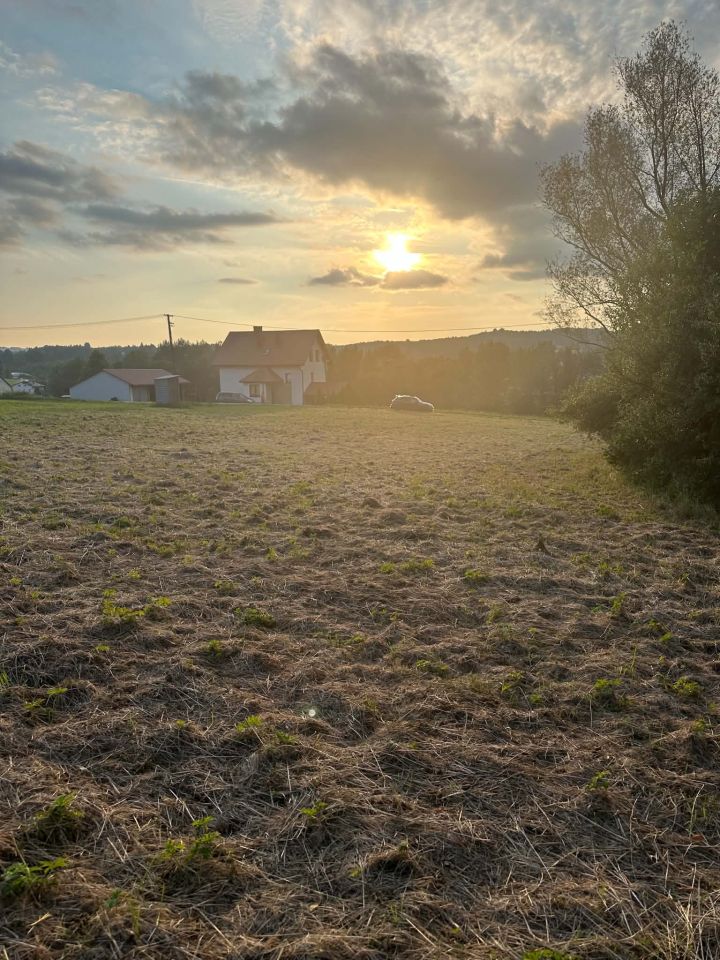 Działka budowlana Nowy Borek Koziniec. Zdjęcie 3