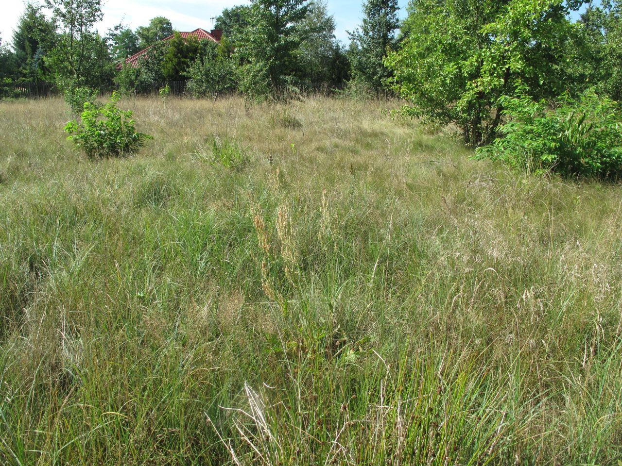 Działka budowlana Udrzyn. Zdjęcie 6