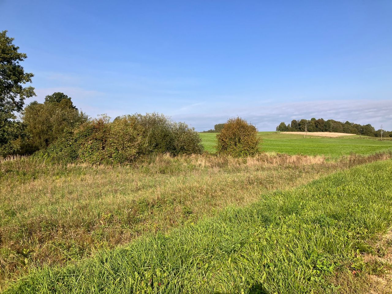 Działka rolna Popowo Salęckie. Zdjęcie 4