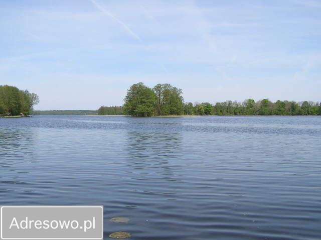 Działka rekreacyjna Stary Gieląd. Zdjęcie 5