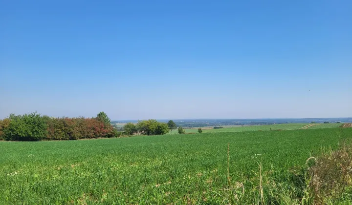 Działka rolno-budowlana Głotowo